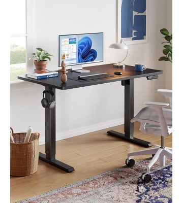 48" x 24" Electric Standing Desk Adjustable Height, 4 Memory Height Settings, Headphone Hook, Cable Manager, Sit Stand Up Desk for Home Office & Computer Workstation, Black